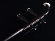 【已售】龍韻入門(mén)黑檀二胡1603