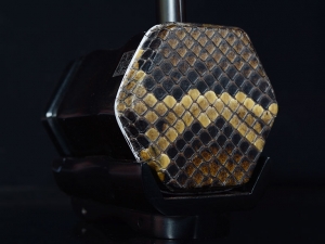 【已售】龍韻特價(jià)黑檀二胡9473 趕集路上