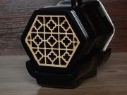 【已售】龍韻專業(yè)黑檀二胡 編號(hào):12308 賽馬