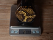 【已售】龍韻專業(yè)黑檀二胡 編號(hào):12458